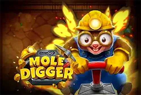 Play'n GO Mole Digger